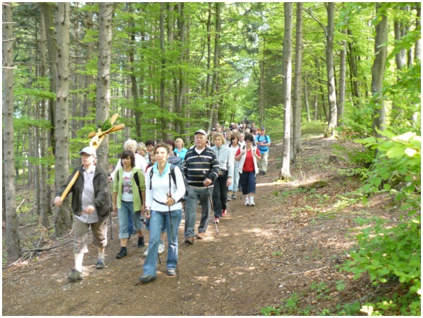 584x433 pixels (178K)